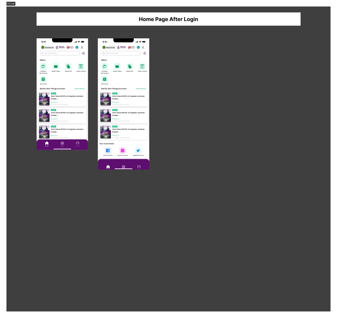 Flow 2 — Login & home
